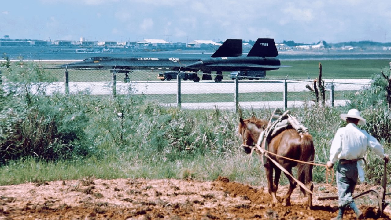 A horse and a SR-71.jpeg